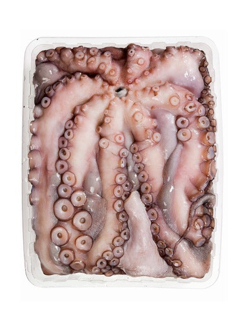 Polvo Mar Portugal 2.7 kg Aprox.