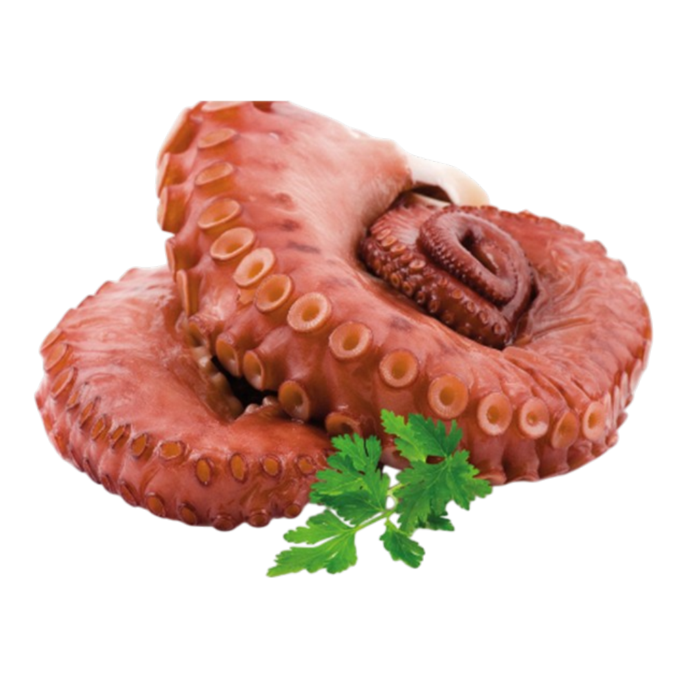 Tentáculos de Pota Cocidos Tarrina 500g - Macrofrio