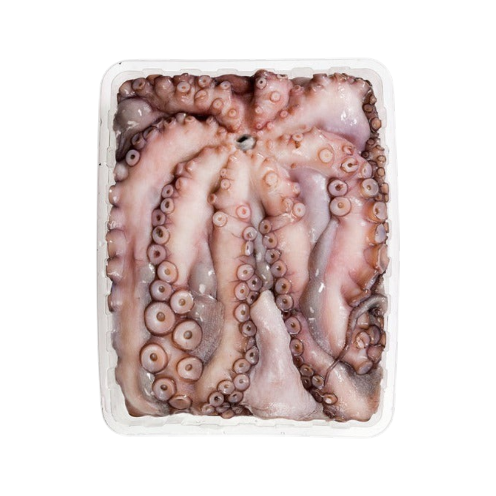 Pulpo del Algarve 2.5kg Aprox. - Macrofrio
