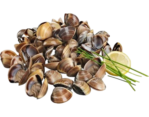 Ameijoa Castanha 800g Aprox