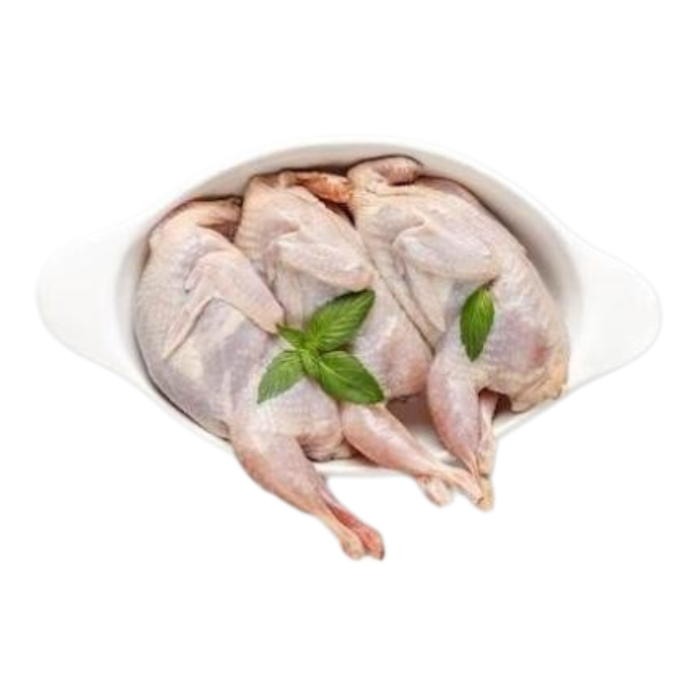 Selected Quails Pack 4un. - Macrofrio