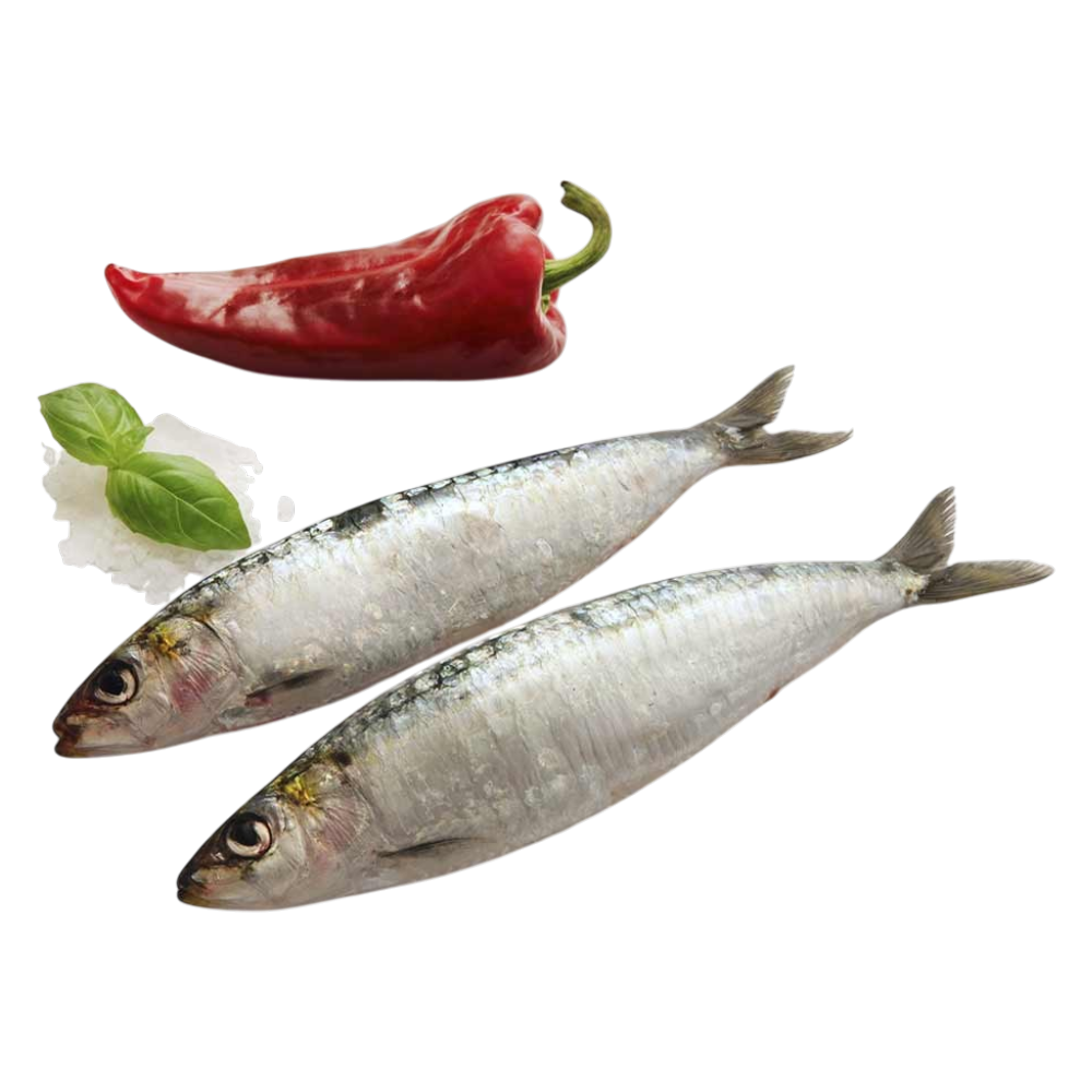 Sardina Portuguesa en Bolsa 850gr - Macrofrio