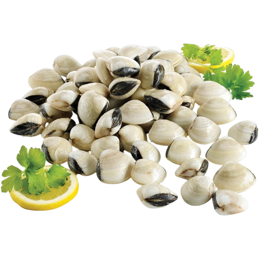 Almeja Blanca 1kg