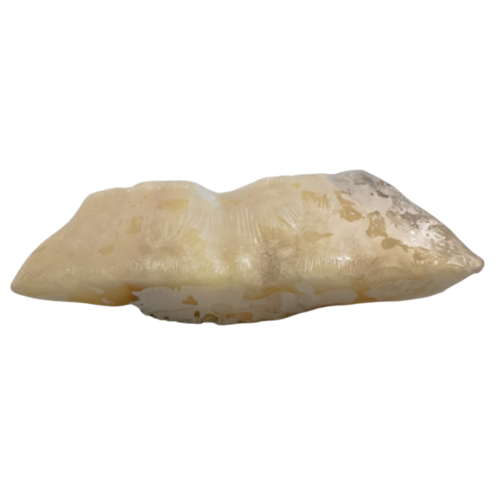 Large Cut Cod Loins 600gr. Approx. Soaked Frozen - Macrofrio