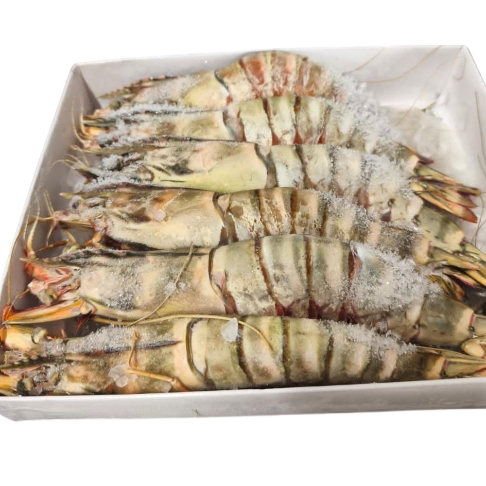 Langostinos Salvajes de Madagascar Premium 20/30 2KG