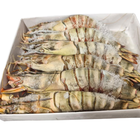 Langostinos Salvajes de Madagascar Premium 20/30 2KG