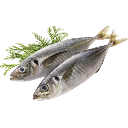 Horse Mackerel Medium Bag 850g - Macrofrio