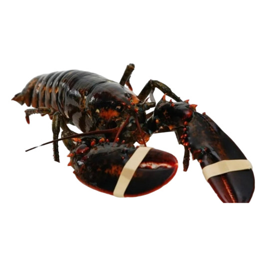 Raw Lobster 350/400g - Frozen