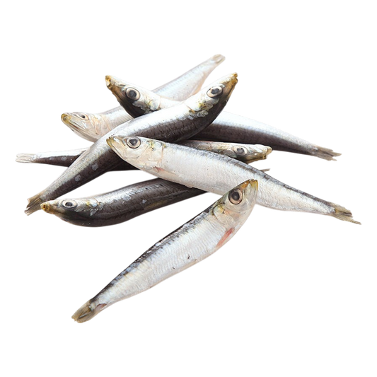 Sardine in Bag 850g - Macrofrio