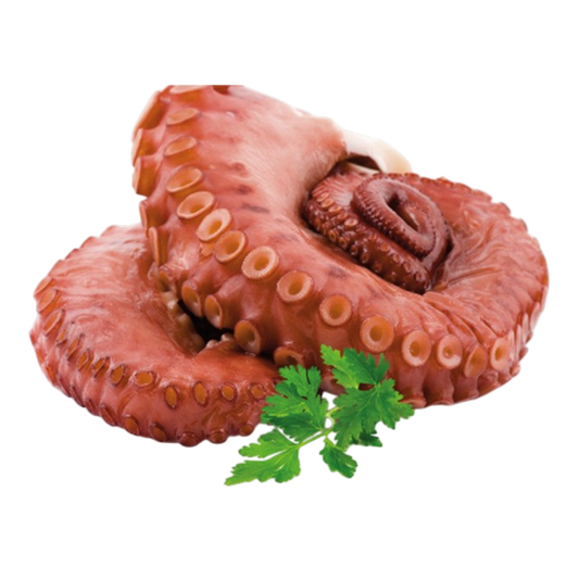Tentáculos de Pota Cocidos Tarrina 500g - Macrofrio