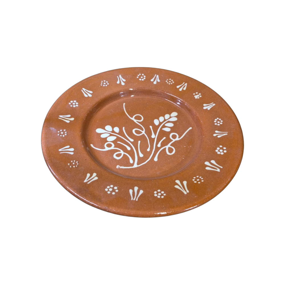 Earthenware Dinner Plate