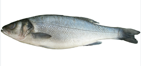 Robalo Inteiro 400/500gr Macrofrio