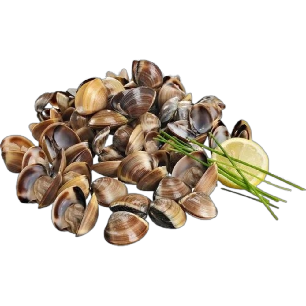 Brown Clam 800g Approx. - Macrofrio