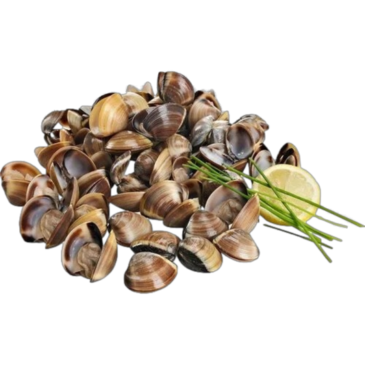 Brown Clam 800g Approx. - Macrofrio