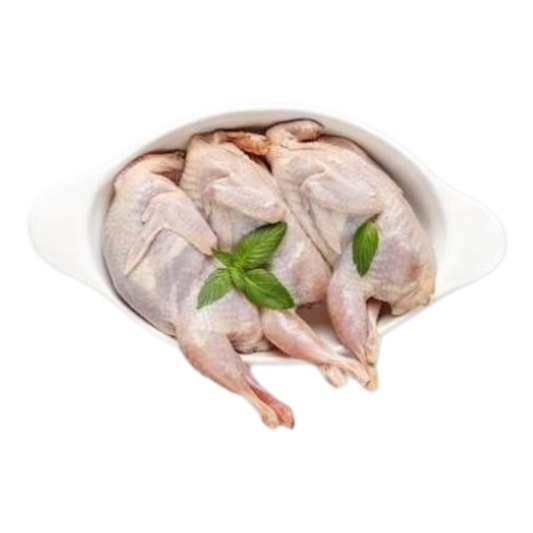Selected Quails Pack 4un. - Macrofrio