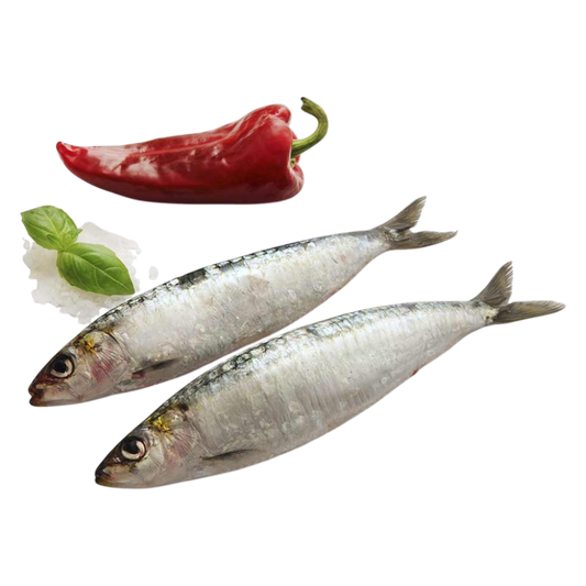 Sardina Portuguesa en Bolsa 850gr - Macrofrio