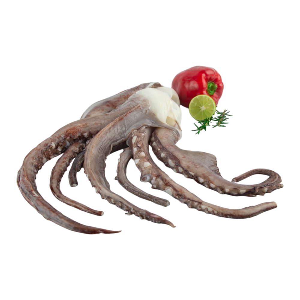 Squid Tentacles 800g