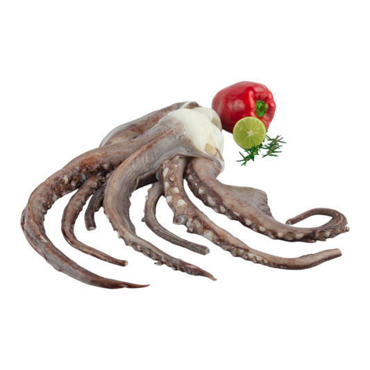 Squid Tentacles 800g